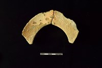 陶罐藏品圖，第2張